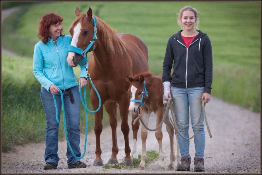 Asbach Fohlenshow 2014 019